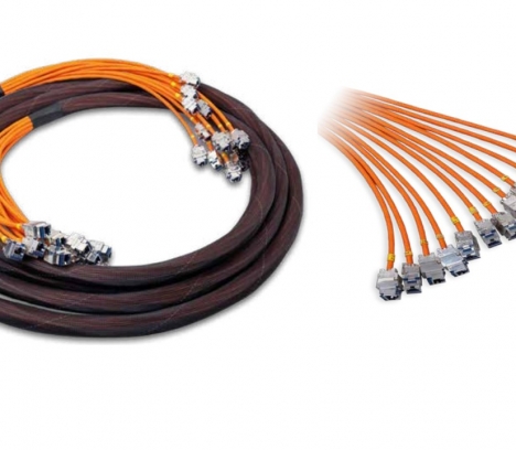 Copper trunk Preterm